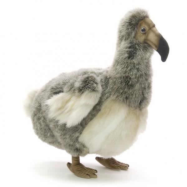 Dodo