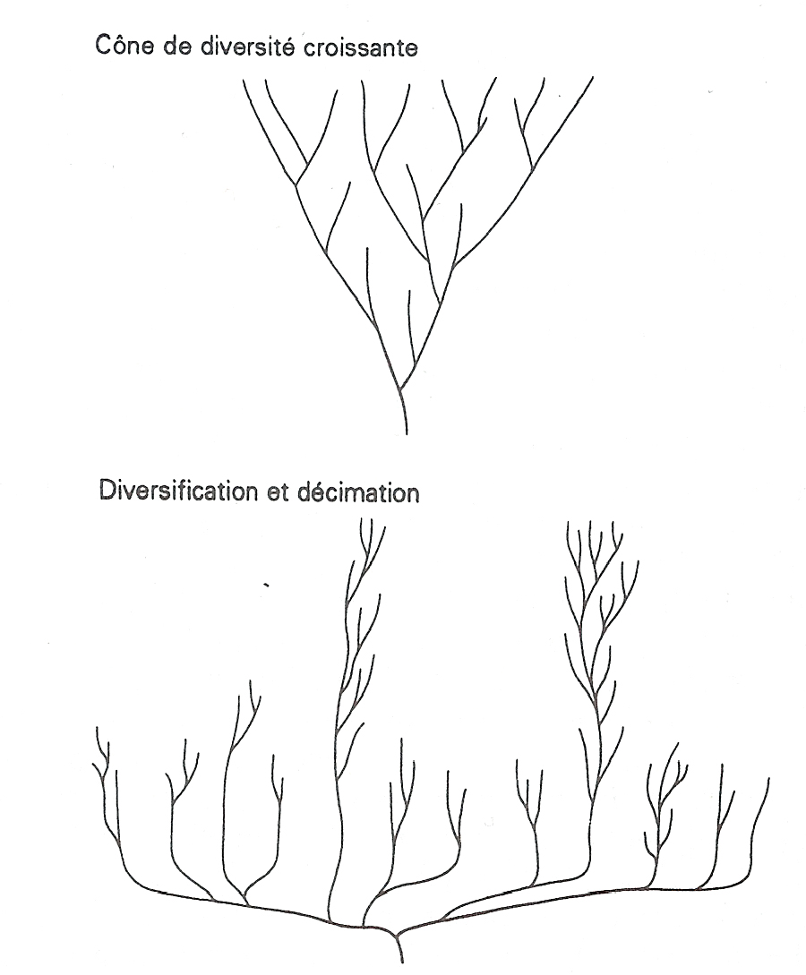 evo-arbre-buisson.jpg