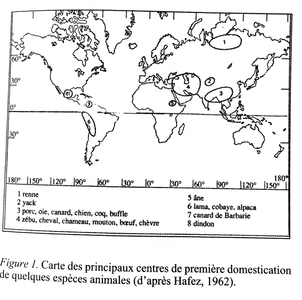 Domestications - Carte